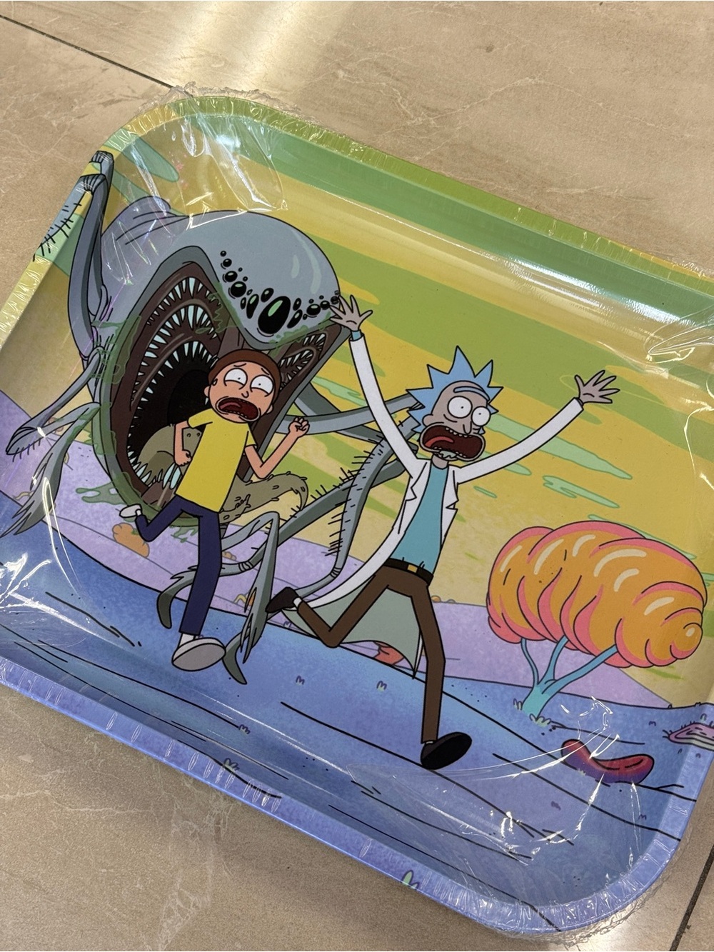 Rick and Morty Tray - XL